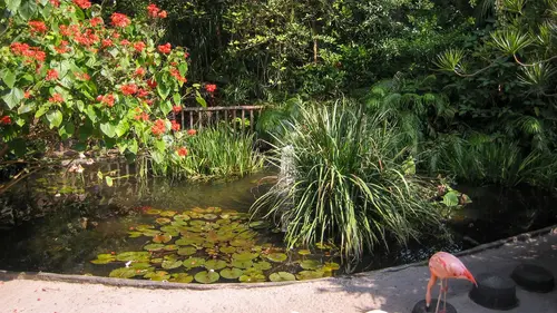 Sunken Gardens